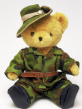 Teddy Bear Dressed in Army Outfit Photographic Print