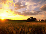 Sunset Over Salt Marsh, Essex, MA Photographie par Kindra Clineff