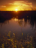 Everglades National Park, FL Photographic Print by Angelo Cavalli