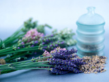 Lynn Keddie - Cut Lavender, Dried Lavender & Glass Pot - Fotografik Baskı