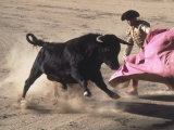 Matador with Pink Cape and Bull, Mexico Photographic Print