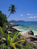 Tropical Beach, La Digue Island, Seychelles Fotografisk tryk af Angelo Cavalli Tropical Beach, La Digue Island, Seychelles Fotografisk tryk af Angelo Cavalli