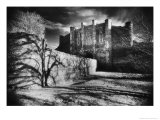 Thornton Abbey, Lincolnshire, England Giclee Print by Simon Marsden