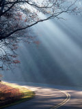 Road on a Misty Morning, Blue Ridge Parkway, NC Photographic Print by Robert Finken