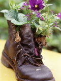 Flower Boot, Country Village Shops and Cafes, WA Photographic Print by Jim Corwin