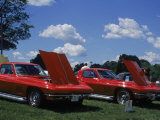 Classic Corvettes Car Show, Southboro, MA Photographic Print by Rick Berkowitz