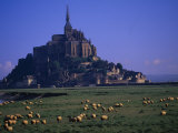 Matin avec troupeau de moutons, Normandie Photographie par Walter Bibikow