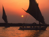 Felucca on Nile at Sunset, Cairo, Egypt Photographic Print by Steve Starr