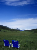 2 Chairs in Flower Field, Kenai, Alaska Photographic Print by Mike Robinson