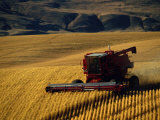 Farm Machinery Stampa fotografica Farm Machinery Stampa fotografica