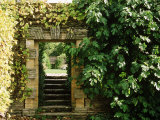 Arch Way in Ornamental Stone Wall with Fig & Vitis Lámina fotográfica por Mark Bolton