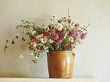 Summer Arrangement of Wild Flowers in Glazed Jar Against Whitewashed Wall Fotografie-Druck von Martine Mouchy
