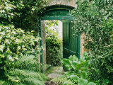 Doorway in Wall Leading to Kitchen Garden Trevarno, Cornwall Photographic Print by Mark Bolton