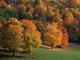 West Virginia, Autumn Trees Photographic Print by Robert Finken