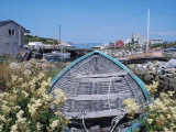 Row Boat Among Flowers Photographic Print