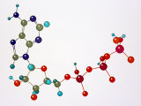 Adenosine Triphosphate Photographie par David M. Dennis