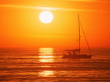 Boats in Harbor, Playa Del Rey, CA Photographic Print by Harvey Schwartz