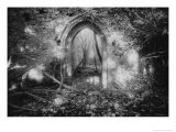Manisternagalliaghduff, County Limerick, Ireland Wydruk giclee autor Simon Marsden Manisternagalliaghduff, County Limerick, Ireland Wydruk giclee autor Simon Marsden