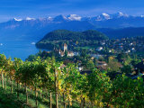 Castle and Vines, Spiez, Switzerland Photographic Print by Peter Adams