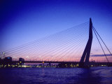 Erasmus Bridge, Erasmusbrug, Rotterdam Photographic Print by Barry Winiker
