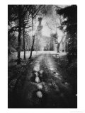 Charleville Forest, County Offaly, Ireland Giclee Print by Simon Marsden