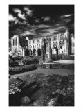 Rievaulx Abbey, Yorkshire, England Lámina giclée por Simon Marsden Rievaulx Abbey, Yorkshire, England Lámina giclée por Simon Marsden