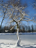 Winter Scenic, Michigan Photographic Print by Dennis Macdonald