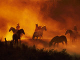 Herd of Horses and Cowboys Photographic Print