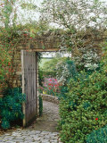 Climbing Rosa, Open Wooden Gate in Stone Wall with View Through to Autumn Borders Lámina fotográfica por Mark Bolton