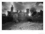 Wilton Castle, County Wexford, Ireland Giclee Print by Simon Marsden