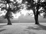 Sunrise Over Kumamoto-Jo Castle Photographic Print by Walter Bibikow