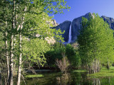 Yosemite Falls, Spring Time, CA Photographic Print by Inga Spence