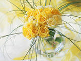 Yellow Tea Rosa in Glass Vase Fotografie-Druck von Martine Mouchy