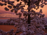 Lake Tahoe at Sunset with Snow, California Photographic Print by Wayne Hoy