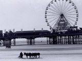 Pier and Donkey Rides, Blackpool, England Photographic Print by Walter Bibikow