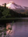 Mt. Hood &Trillium Lake, OR Photographic Print by Donald Higgs