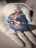 Global Options Photographic Print by Carol & Mike Werner