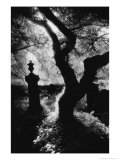 Graveyard, Nevern, Pembrokeshire, Wales Giclee Print by Simon Marsden