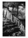 Broken Steps, Charleville Forest, County Offaly, Ireland Giclee Print by Simon Marsden