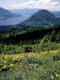 Columbia River Gorge, Gifford Pinchot Nf, WA Photographic Print by Bob LeRoy