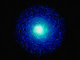 Circle of Stars Photographie par Ron Russell