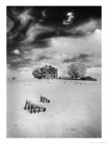 Rathpeak House, County Roscommon, Ireland Giclee Print by Simon Marsden