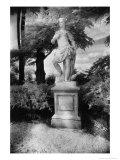 Statue at Waddesdon Manor, Buckinghamshire, England Giclee Print by Simon Marsden