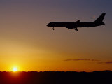 Avión aterrizando al atardecer, aeropuerto de O'Hare, Illinois Lámina fotográfica por Ed Lallo Avión aterrizando al atardecer, aeropuerto de O'Hare, Illinois Lámina fotográfica por Ed Lallo