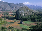 Tobacco Fields, Valle De Vinales, Cuba Photographic Print by Tina Buckman Tobacco Fields, Valle De Vinales, Cuba Photographic Print by Tina Buckman