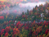 Blackwater Canyon, WV Photographie par Robert Finken