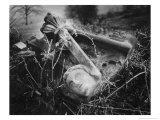 Broken Frieze, the Gardens, Plas Teg, Clwyd, Wales Giclee Print by Simon Marsden
