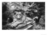 Lion Monument to Richard Charles Bostock, Abney Park Cemetery, London, England Giclee Print by Simon Marsden