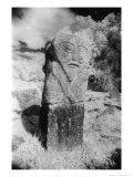 Pagan Figure, Boa Island, County Fermanagh, Northern Ireland Giclée-tryk af Simon Marsden Pagan Figure, Boa Island, County Fermanagh, Northern Ireland Giclée-tryk af Simon Marsden