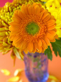 Gerbera, Close-up of an Orange Flower in a Glass Vase Lámina fotográfica por Mark Bolton Gerbera, Close-up of an Orange Flower in a Glass Vase Lámina fotográfica por Mark Bolton